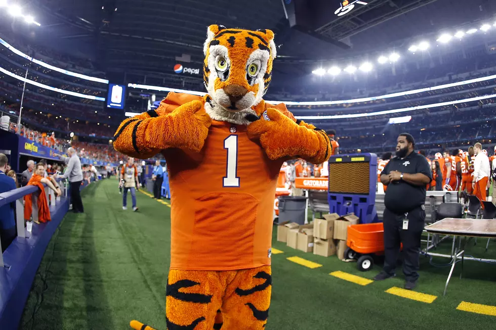 Fundraiser for New Clemson Mascot Blows Past Goal