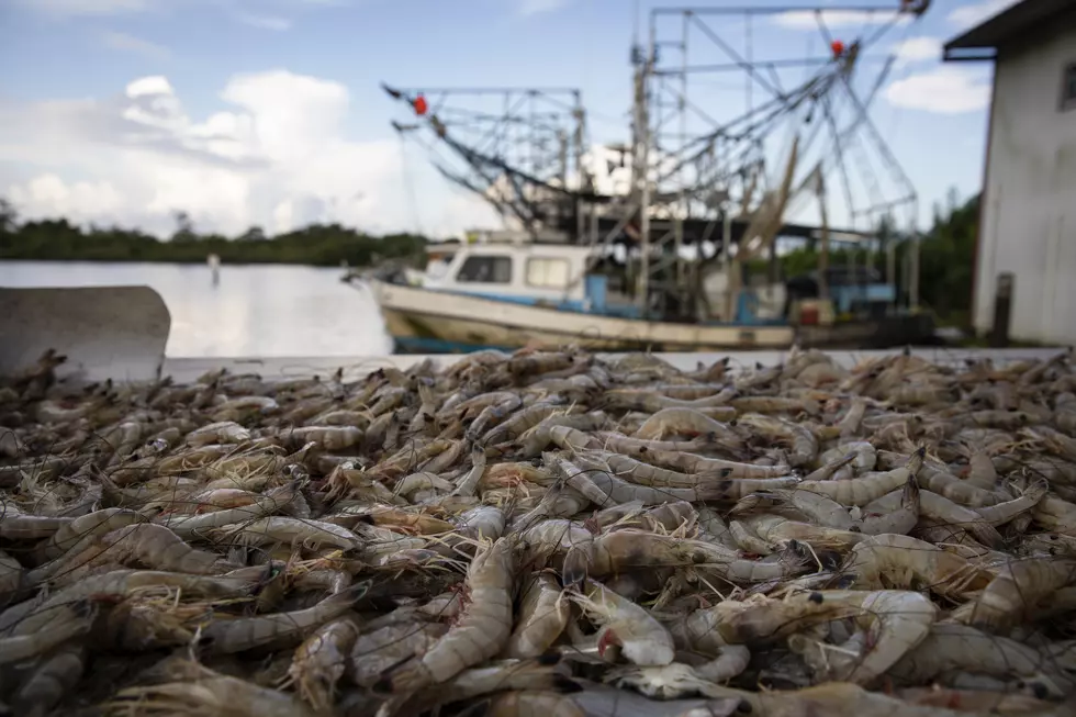 Finalists Announced for Louisiana Seafood Cook-Off