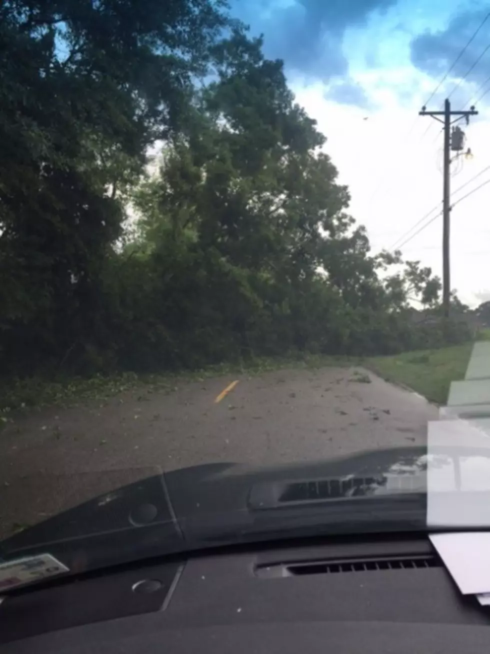 Storm Photo, Trees over raodway Rue Des Etoiles, Kpel staff photo, Casey