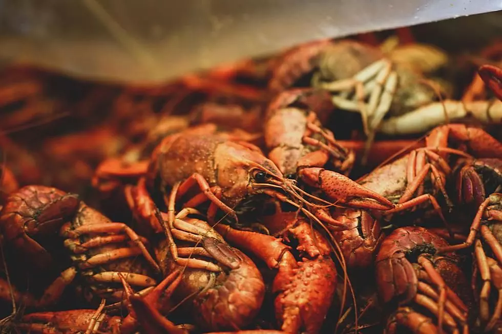 The History of Crawfish Boils in Louisiana: From Native Tribes to Spring Festivals