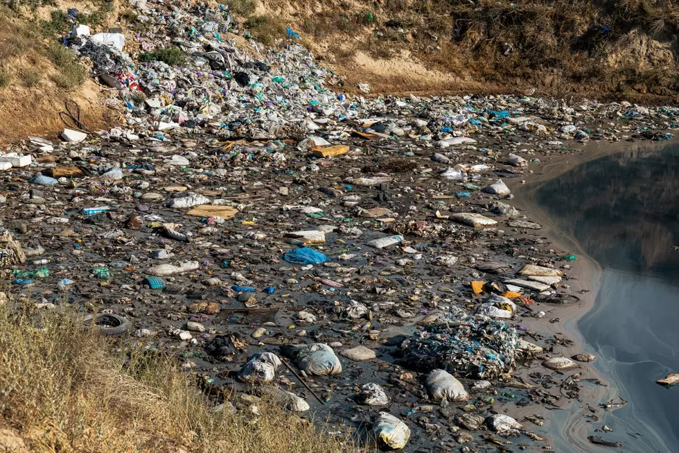 Dumping in Louisiana: How Can We Clean Up Our State?