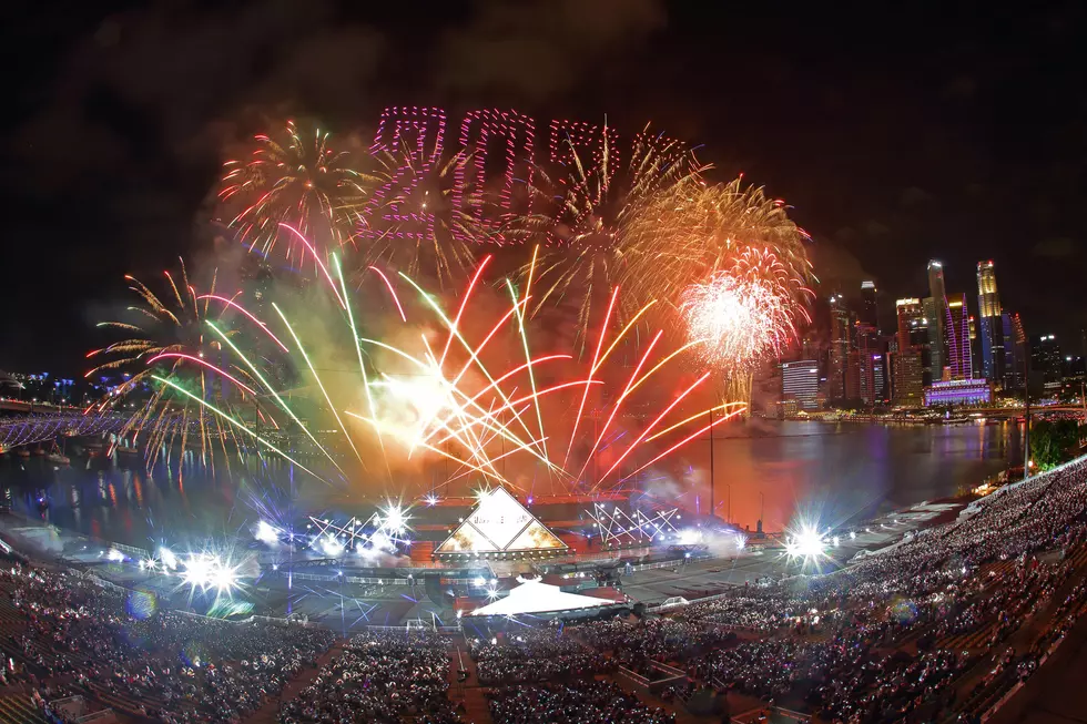 Goodbye 2019, And Good Riddance – From the Bird’s Nest
